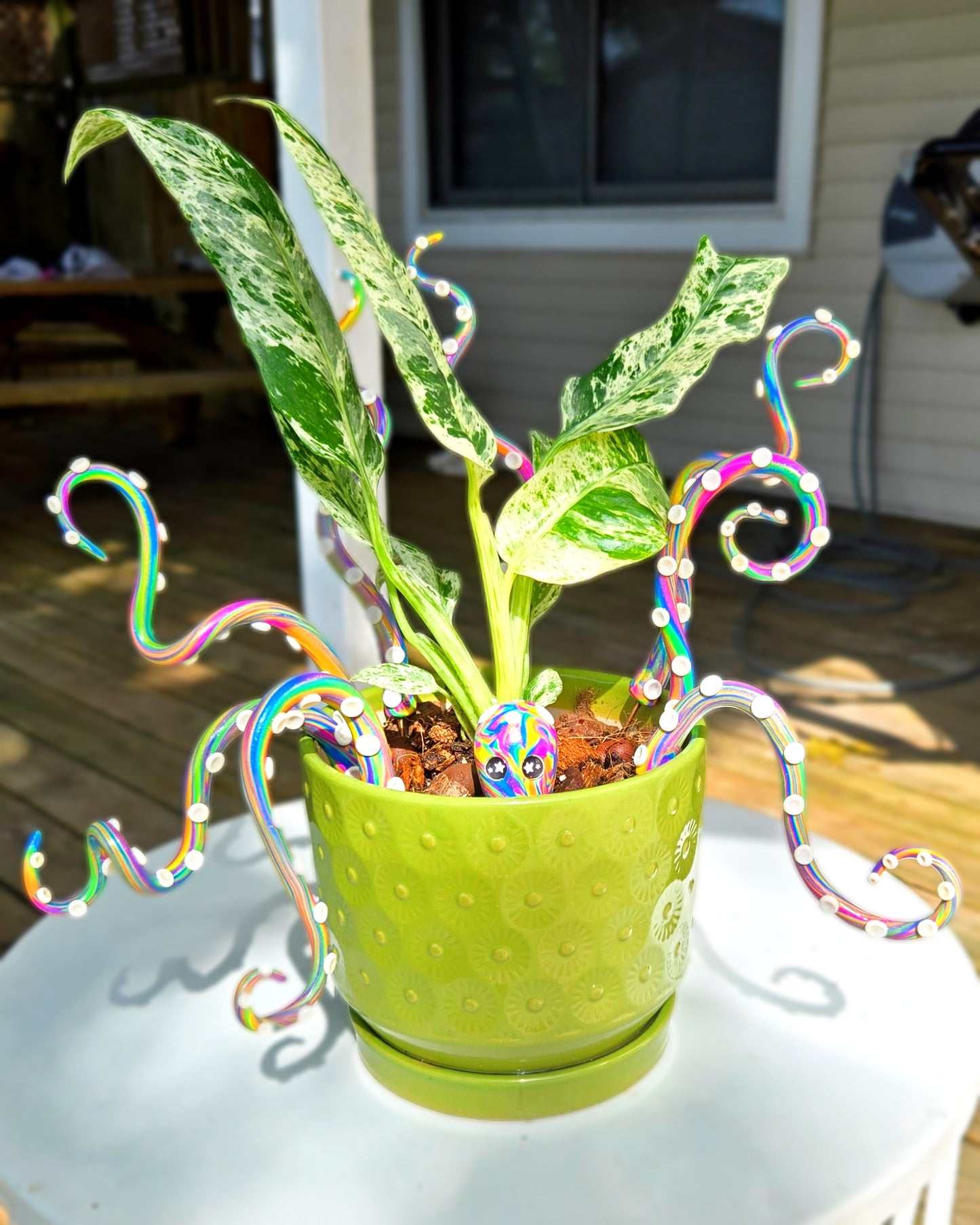 Kraken Plant Stake Set (9 Piece)