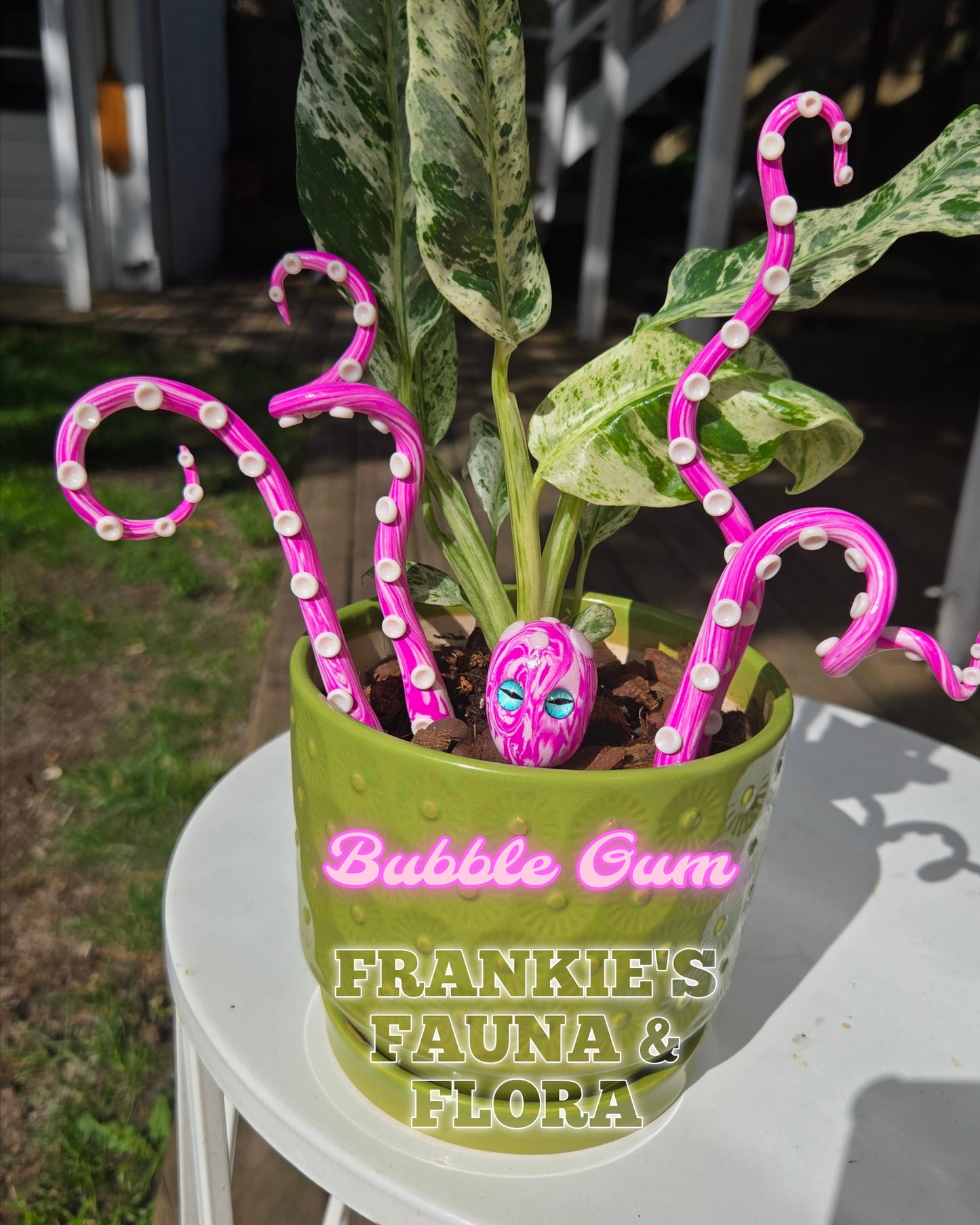 Kraken Plant Stake Set (5 Piece)