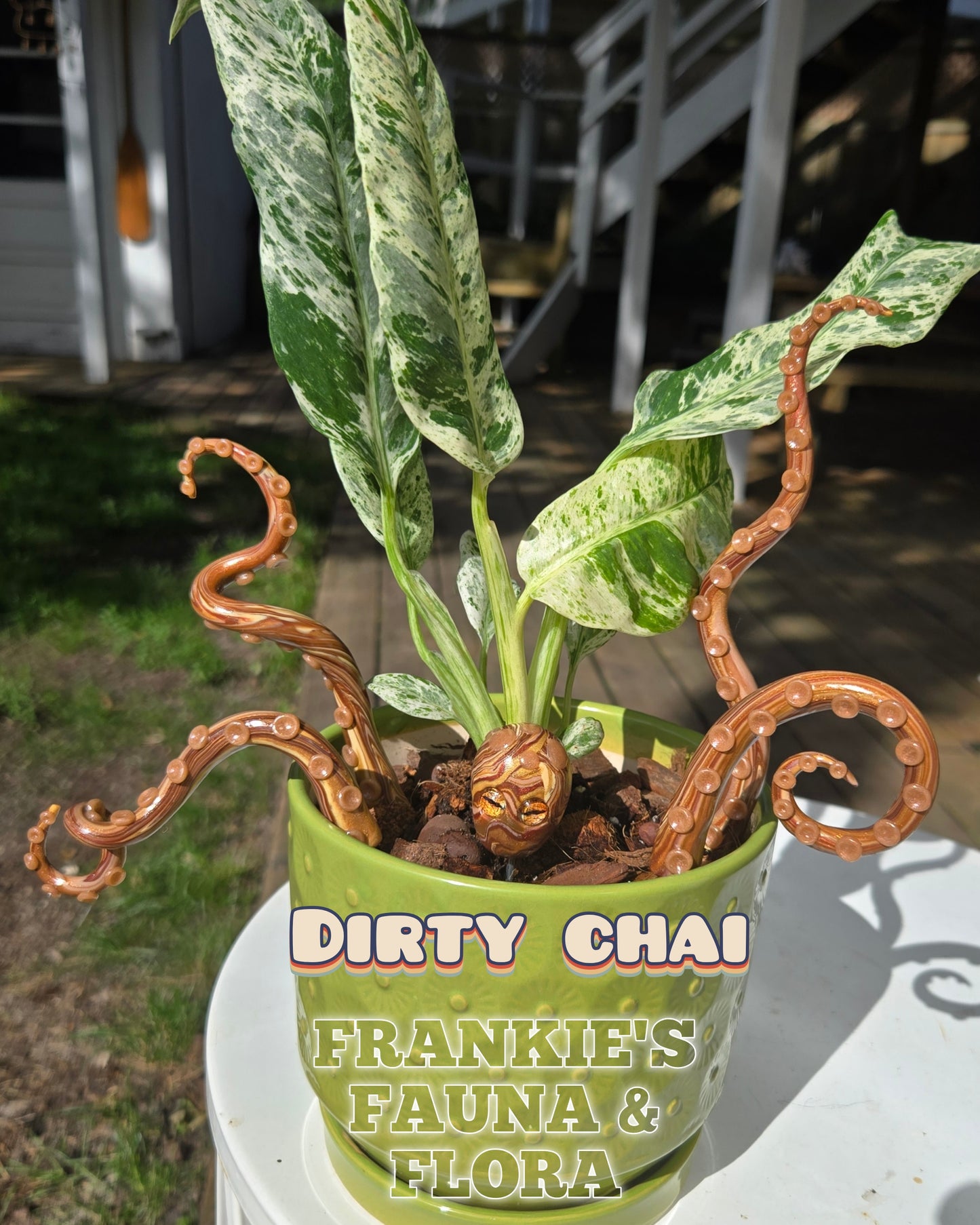 Kraken Plant Stake Set (5 Piece)