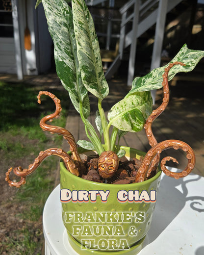Kraken Plant Stake Set (5 Piece)