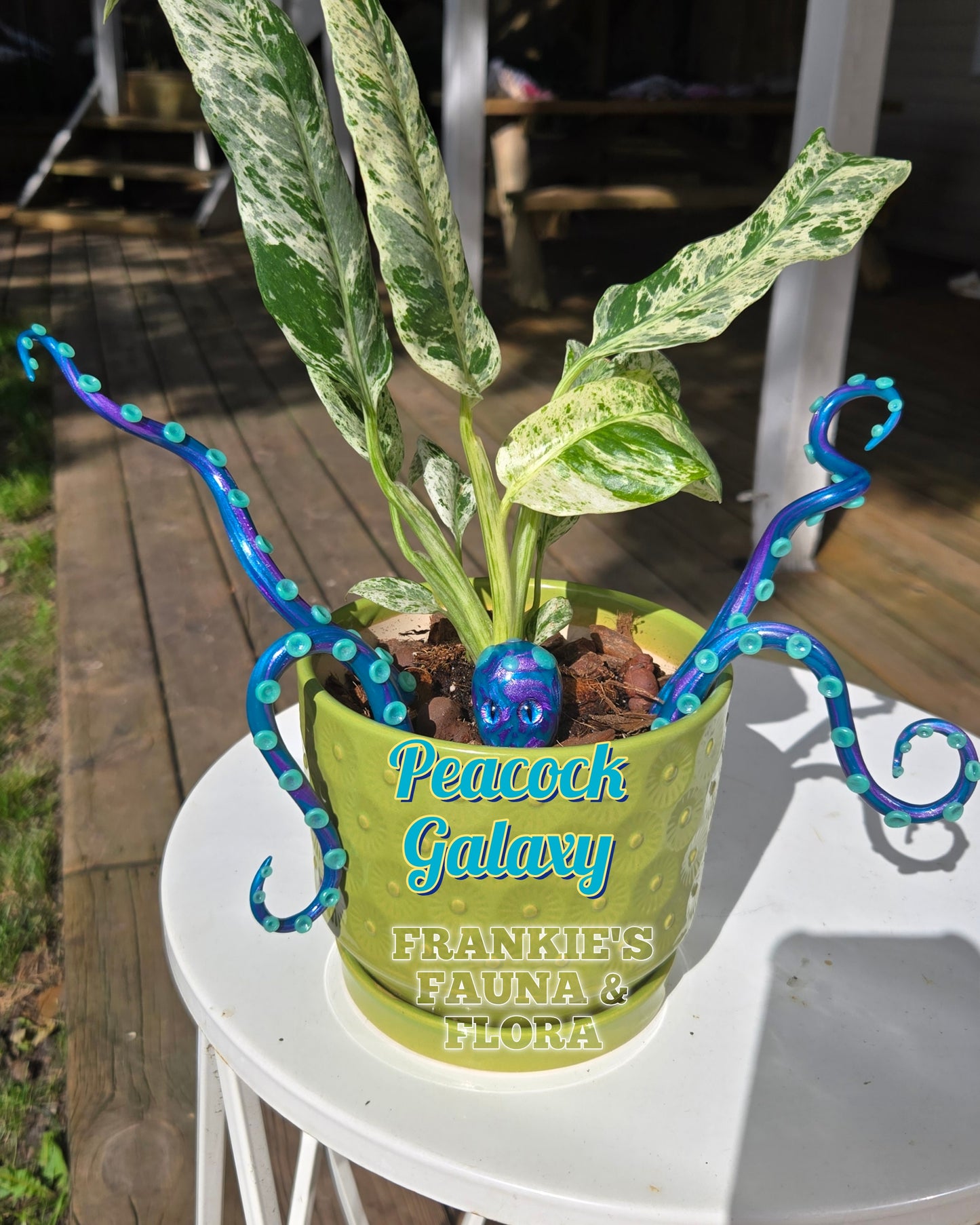 Kraken Plant Stake Set (5 Piece)