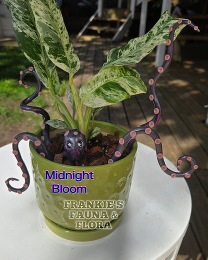 Kraken Plant Stake Set (5 Piece)