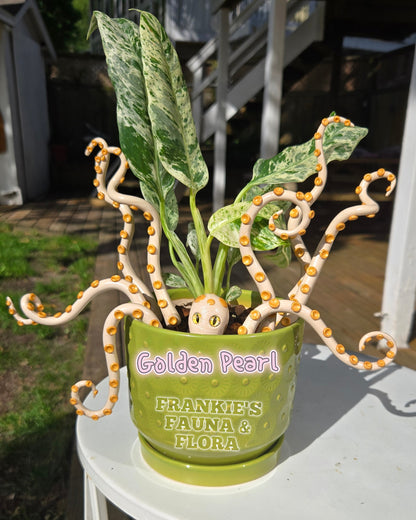 Kraken Plant Stake Set (9 Piece)