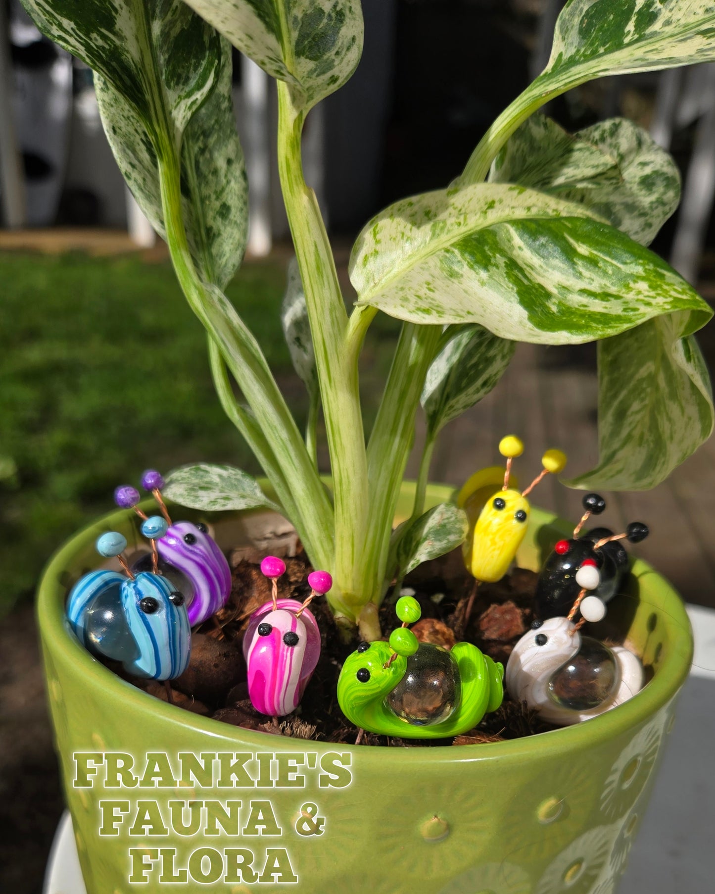 Snail Plant Stakes
